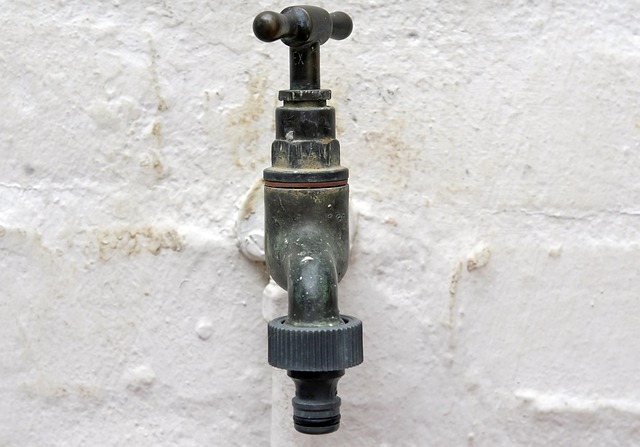 Die besten Empfehlungen und Testsieger für Wassersparen & Tröpfchenbewässerung