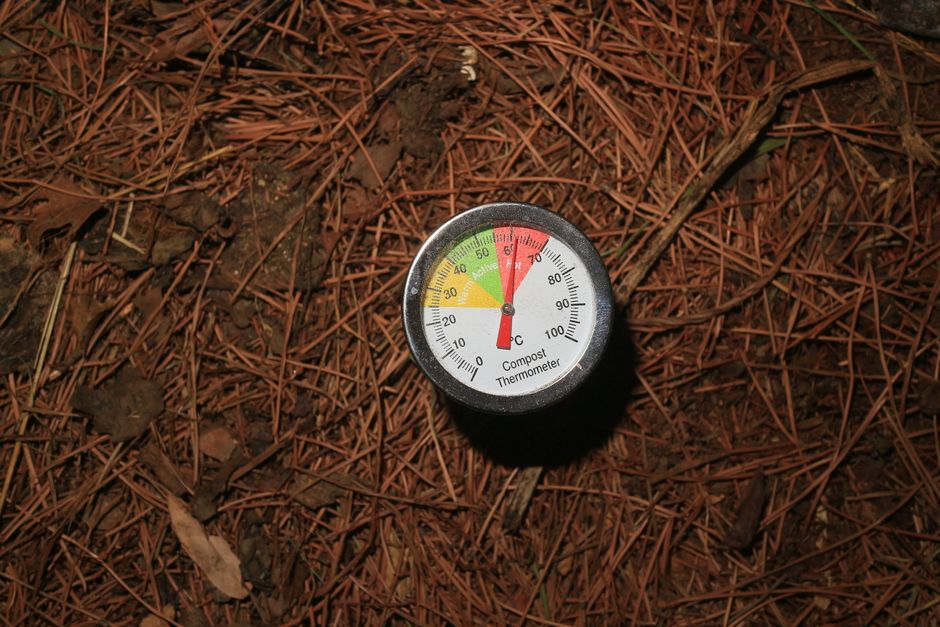 Kompost & Bodenverbesserung & Nachhaltigkeit: Effizienz steigern und Umwelt schonen