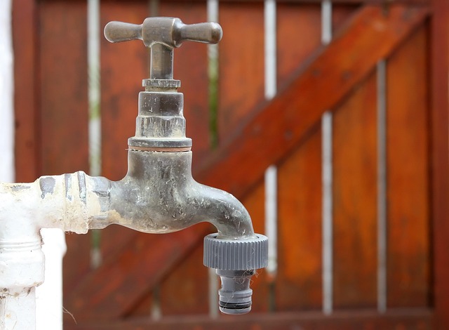 Maximale Effizienz bei Wassersparen & Tröpfchenbewässerung: 7 Experten-Tipps für die Praxis