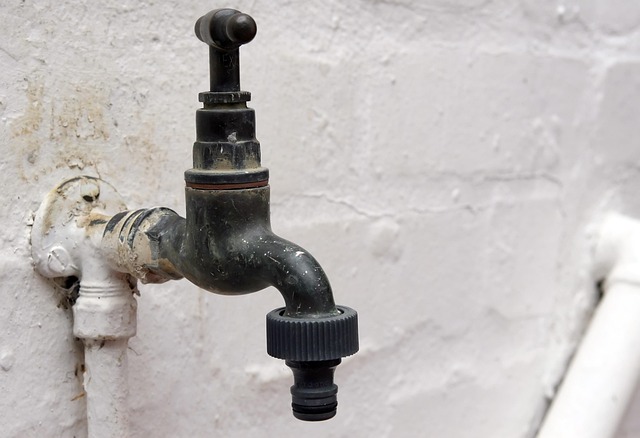 Schritt-für-Schritt Anleitung: Wassersparen & Tröpfchenbewässerung erfolgreich umsetzen