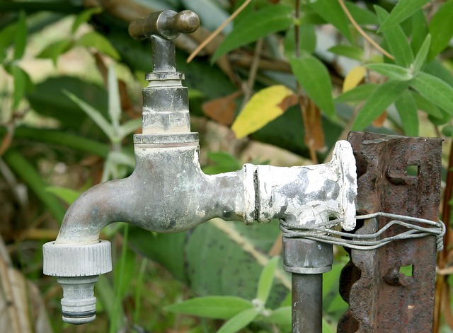 Wartung und Pflege von Wassersparen & Tröpfchenbewässerung: Die jährliche Checkliste