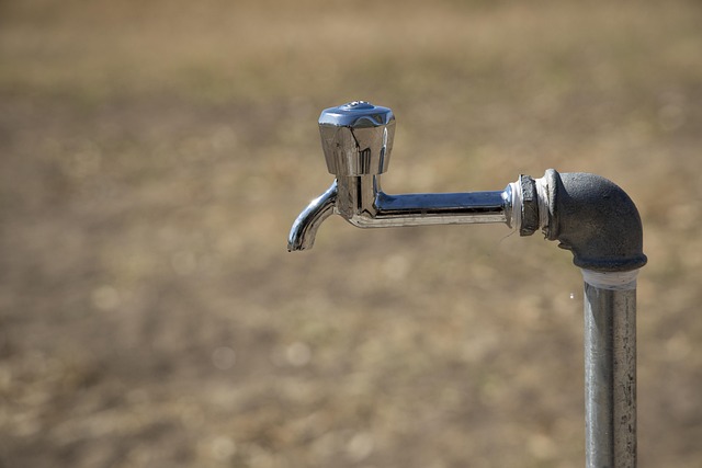 Wassersparen & Tröpfchenbewässerung: Die 5 häufigsten Fehler und wie Sie diese vermeiden