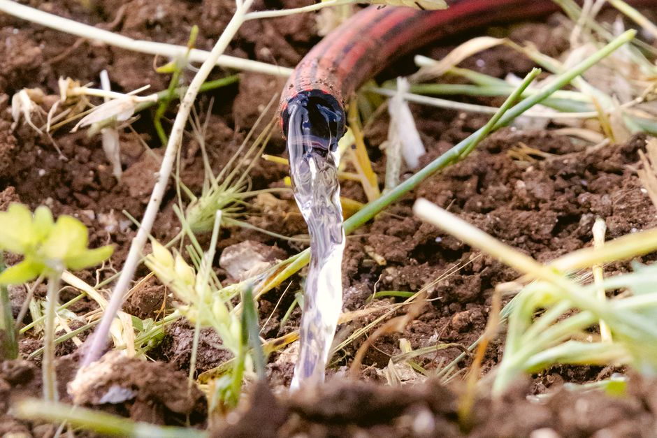Wassersparen & Tröpfchenbewässerung für Einsteiger: Der kompakte Start-Leitfaden