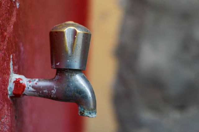 Wassersparen & Tröpfchenbewässerung im Vergleich: Alternativen, Vor- und Nachteile im Test